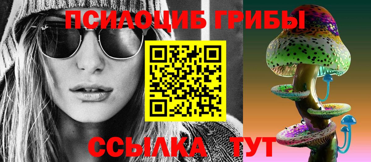 Лесозаводск  Псилоцибиновые грибы мицелий  Галлюциногенные грибы Psilocybe  наркотики  Вход с VPN 