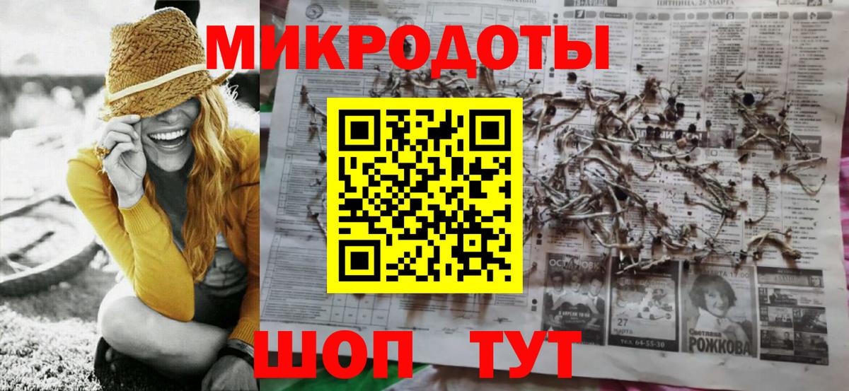 Галлюциногенные грибы Psilocybe Лесозаводск